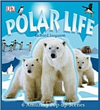 Polar Life: 6 Amazing Pop-up Scenes (DK Pop-up) (Hardcover)