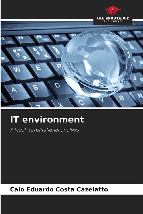 IT environment (Paperback)