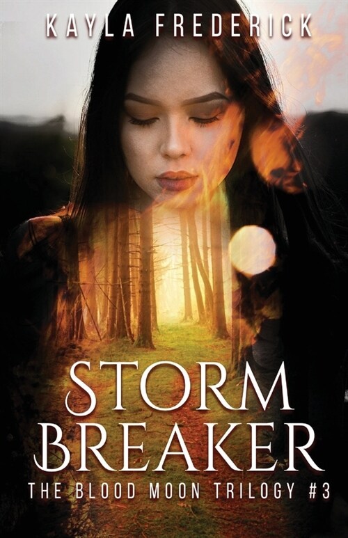 Storm Breaker (Paperback)