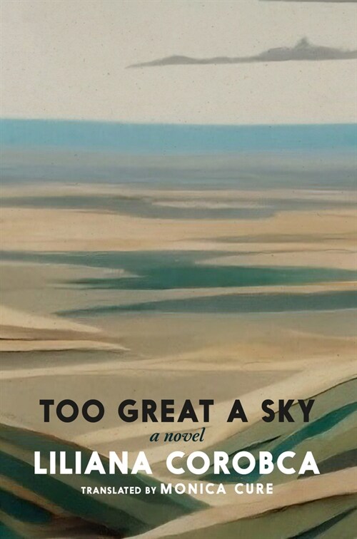 Too Great a Sky (Paperback)