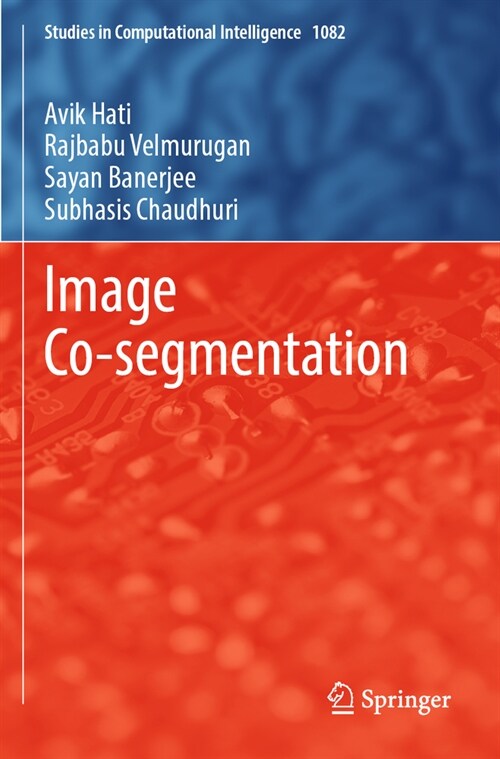 Image Co-Segmentation (Paperback, 2023)