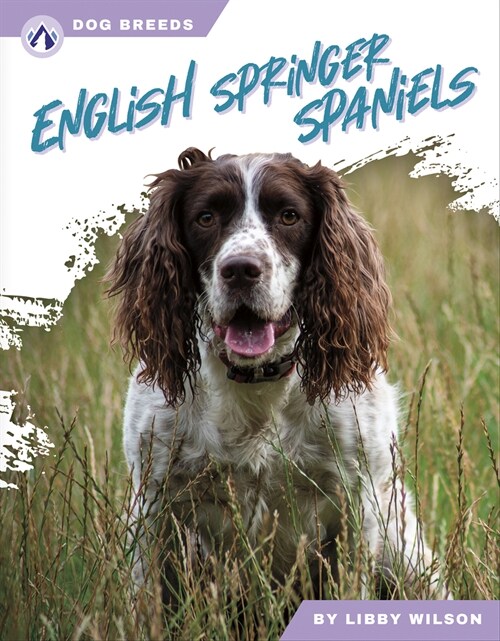 English Springer Spaniels (Library Binding)