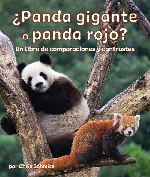 풮anda Gigante O Panda Rojo? Un Libro de Comparaciones Y Contrastes: Giant Panda or Red Panda? a Compare and Contrast Book in Spanish (Paperback)