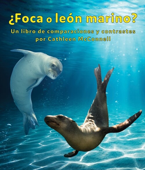 풣oca O Le? Marino? Un Libro de Comparaciones Y Contrastes: Seals or Sea Lions? a Compare and Contrast Book (Paperback)