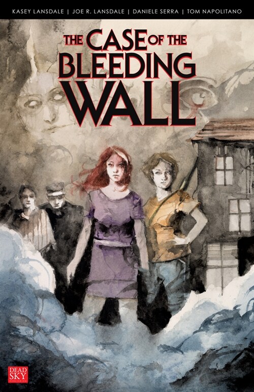 The Case of the Bleeding Wall (Paperback)