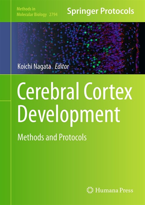 Cerebral Cortex Development: Methods and Protocols (Hardcover, 2024)