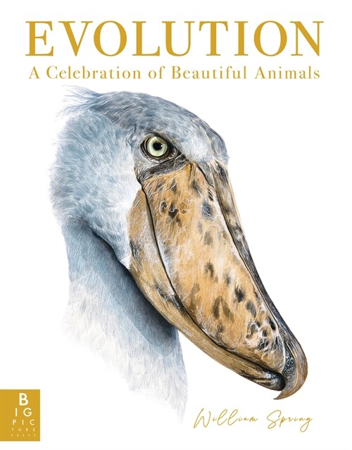 Evolution: A Celebration of Beautiful Animals (Hardcover)