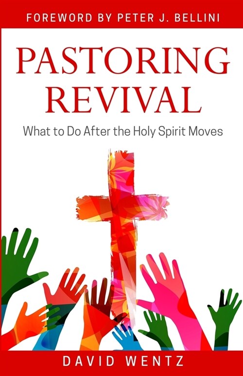Pastoring Revival: What to Do After the Holy Spirit Moves (Paperback)