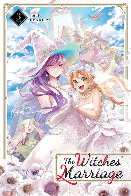 The Witches Marriage, Vol. 3: Volume 3 (Paperback)