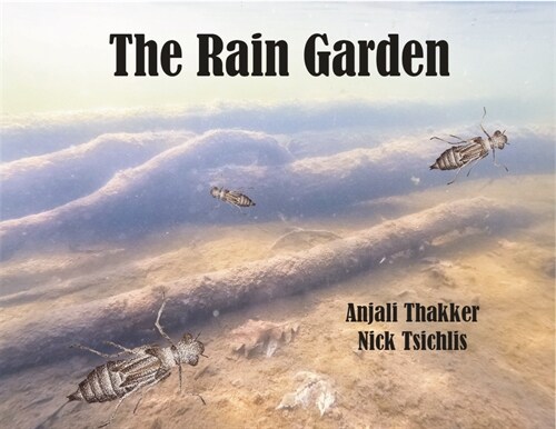 The Rain Garden (Paperback)