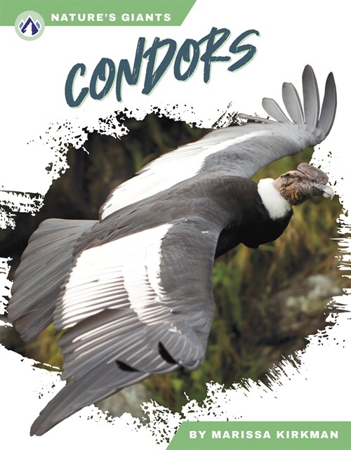 Condors (Library Binding)