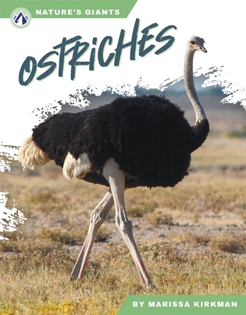 Ostriches (Library Binding)