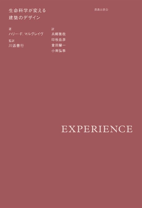 EXPERIENCE