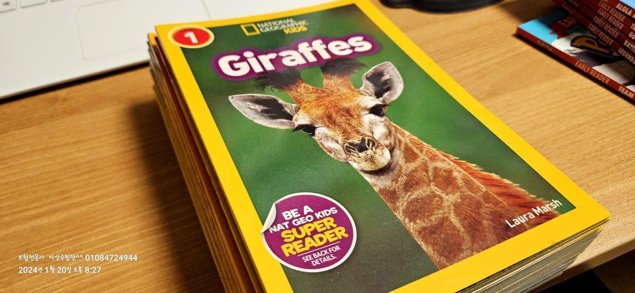 [중고] Giraffes (Paperback)