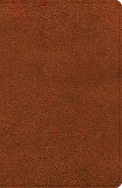 CSB Large Print Personal Size Reference Bible, Digital Study Edition, Burnt Sienna Leathertouch, Indexed (Imitation Leather, Digital Study)