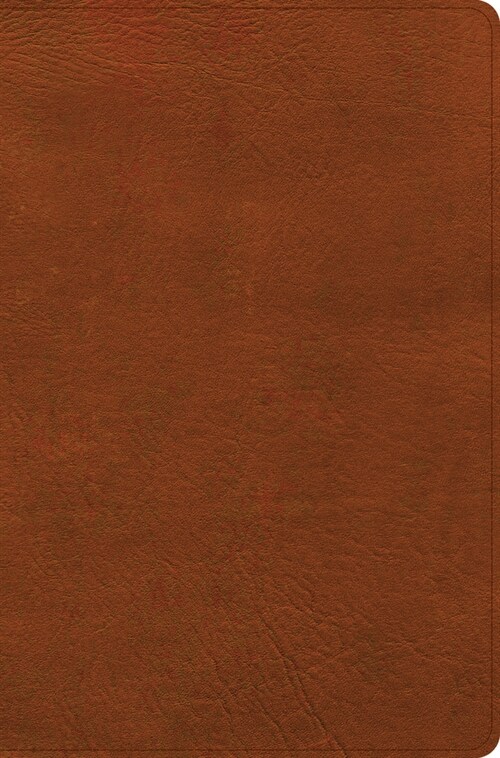 CSB Giant Print Reference Bible, Digital Study Edition, Burnt Sienna Leathertouch (Imitation Leather)