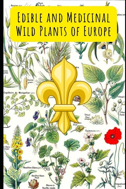 Edible and Medicinal Wild Plants of Europe (Paperback)