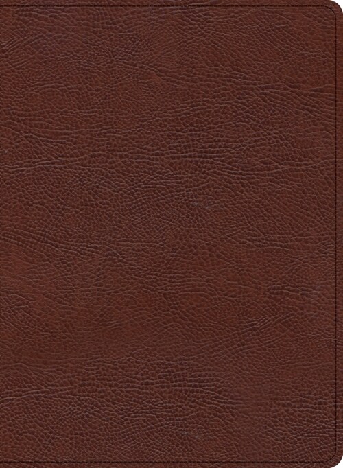 KJV Study Bible, Large Print Edition, Brown Bonded Leather (Bonded Leather)