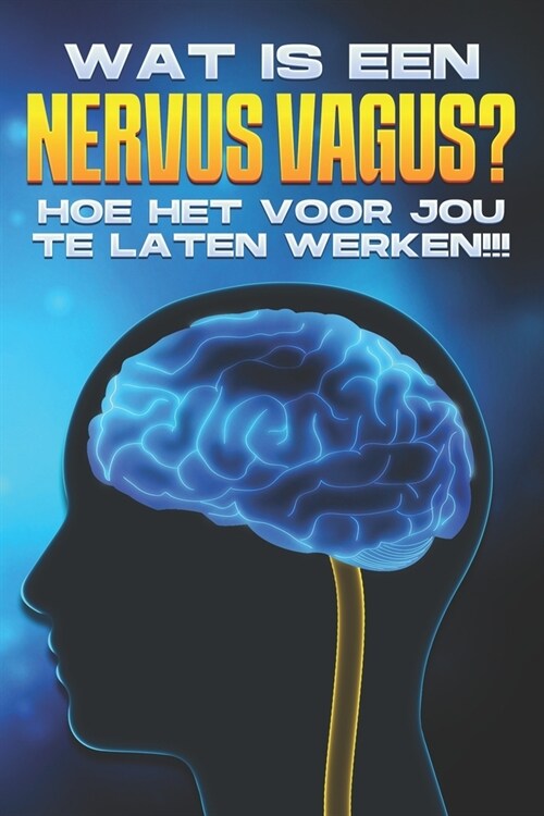 Wat is een nervus vagus?: Hoe het voor JOU te laten werken!! (Paperback)