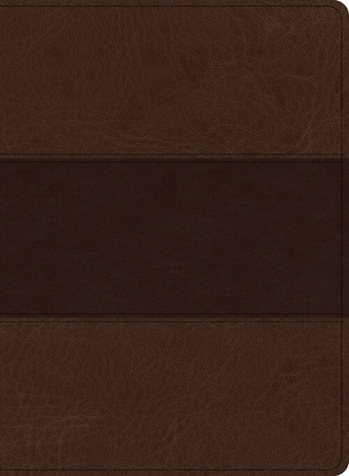 KJV Study Bible, Large Print Edition, Saddle Brown Leathertouch (Imitation Leather)