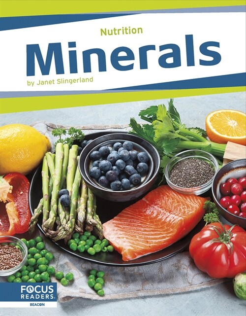 Minerals (Paperback)