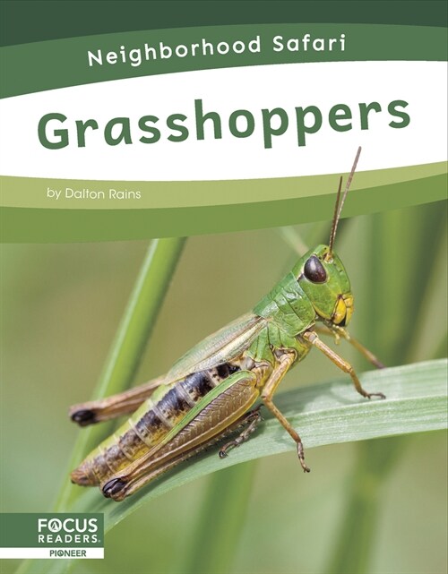 Grasshoppers (Paperback)