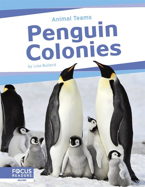 Penguin Colonies (Paperback)