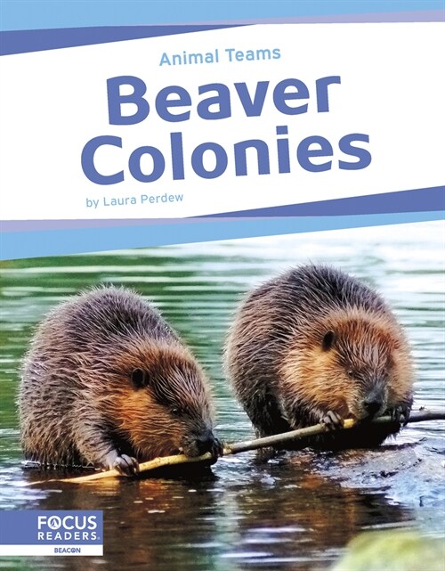 Beaver Colonies (Paperback)