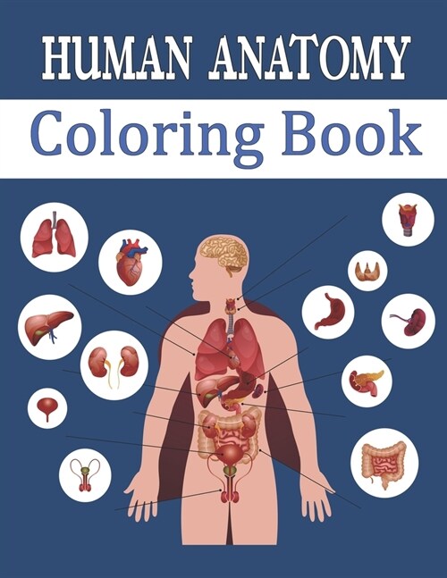 Human Anatomy Coloring Book: Entertaining and Instructive Guide to Body - Bones, Muscles, Blood, Nerves (Paperback)