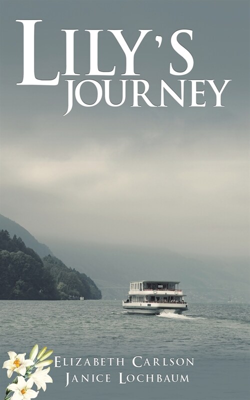 Lilys Journey (Paperback)