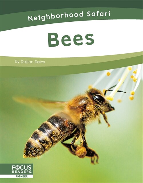 Bees (Library Binding)