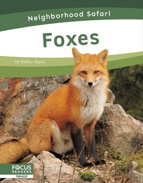 Foxes (Library Binding)