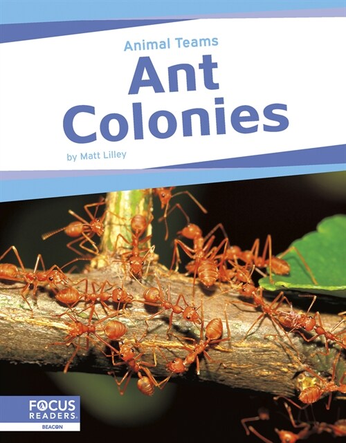 Ant Colonies (Library Binding)