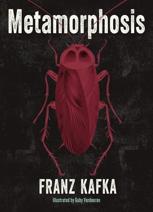 Metamorphosis: Illustrated by Gaby Verdooren (Hardcover)