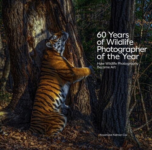 60 Years of Wildlife Photographer of the Year: How Wildlife Photography Became Art (Hardcover)