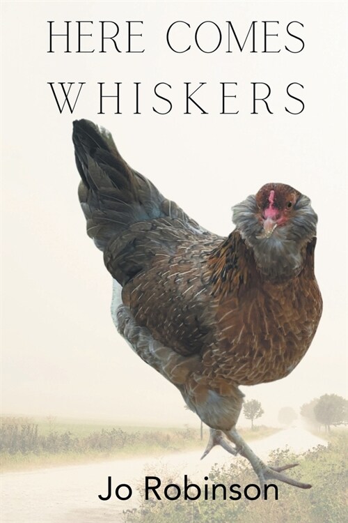 Here Comes Whiskers (Paperback)