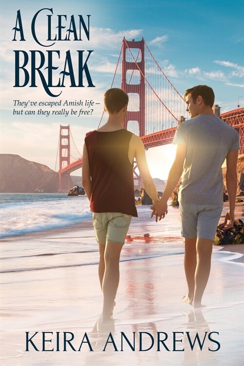 A Clean Break (Paperback)