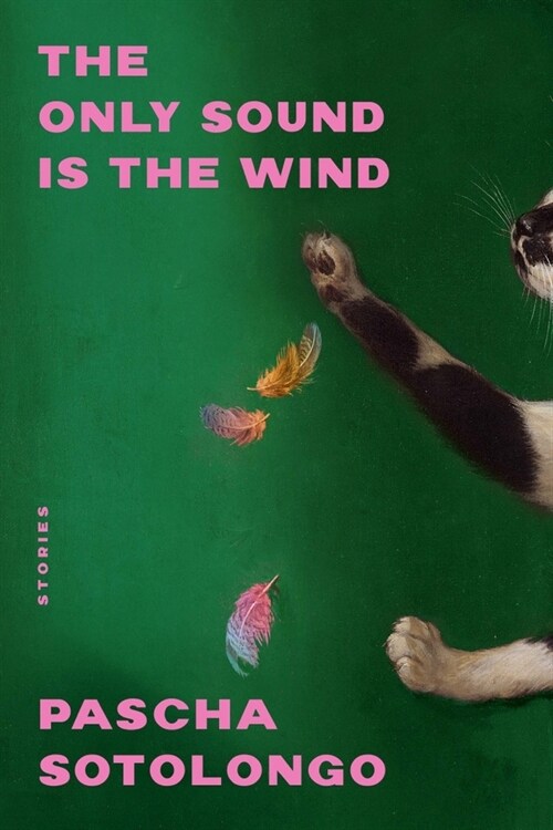The Only Sound Is the Wind: Stories (Paperback)