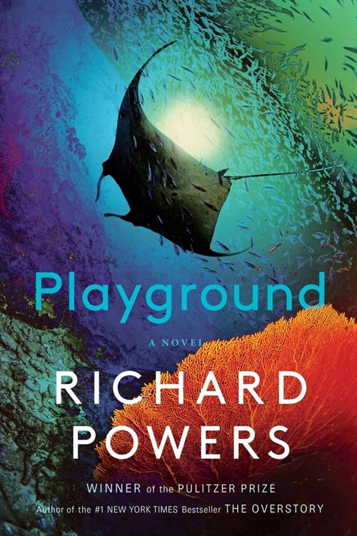 Playground (Hardcover)