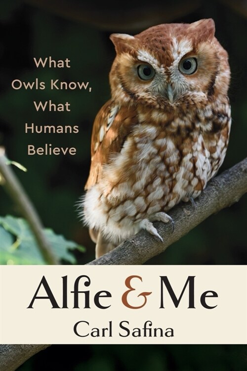 Alfie and Me: What Owls Know, What Humans Believe (Paperback)