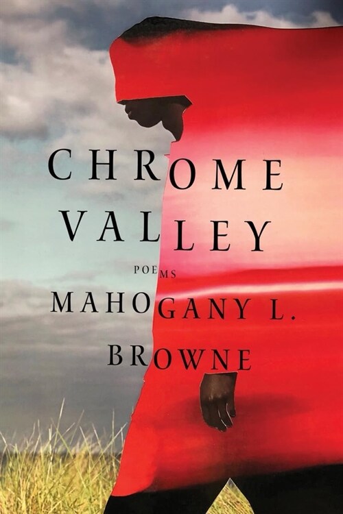 Chrome Valley: Poems (Paperback)