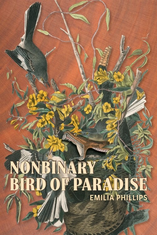 Nonbinary Bird of Paradise (Paperback)