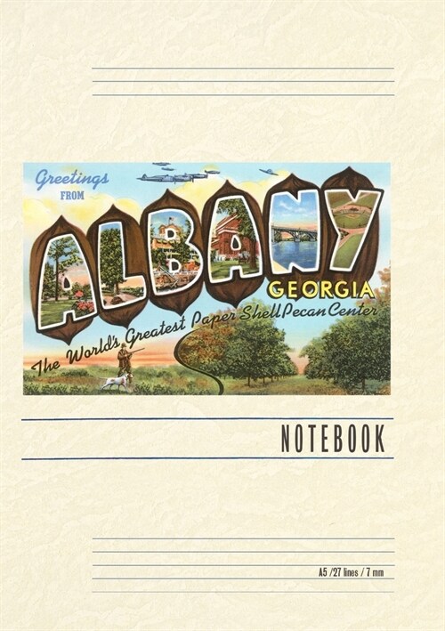 Vintage Lined Notebook Greetings from Albany (Paperback)