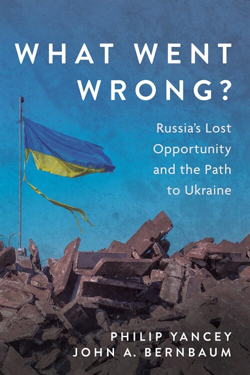 What Went Wrong? (Paperback)