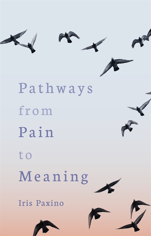Pathways from Pain to Meaning : Short Thoughts on Pain in History and Personal Development (Paperback)