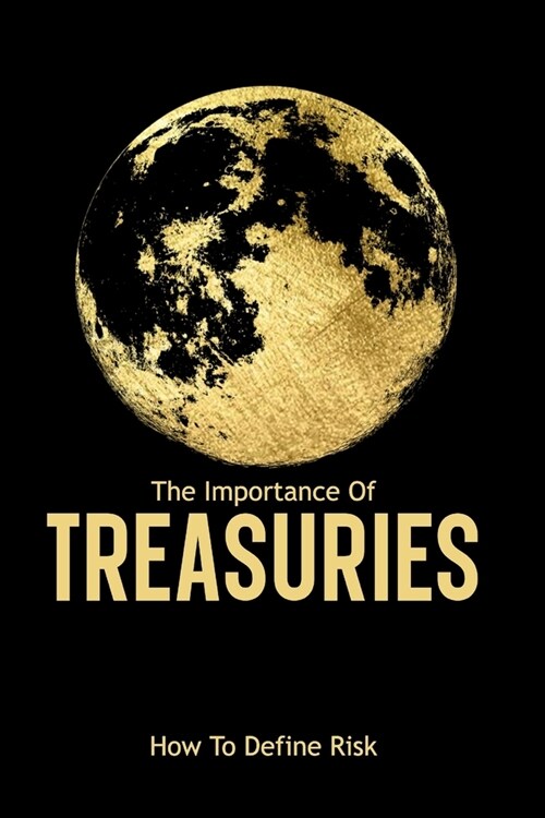 The Importance of Treasuries: How to Define Risk (Paperback)