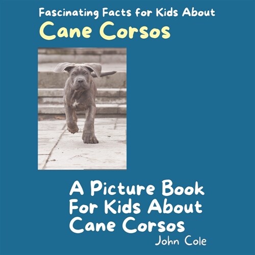 A Picture Book for Kids About Cane Corsos: Fascinating Facts for Kids About Cane Corsos (Paperback)