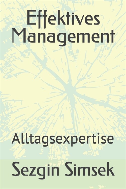 Effektives Management: Alltagsexpertise (Paperback)