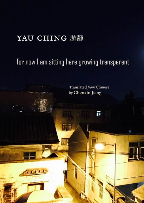 For Now I Am Sitting Here Growing Transparent (Paperback)