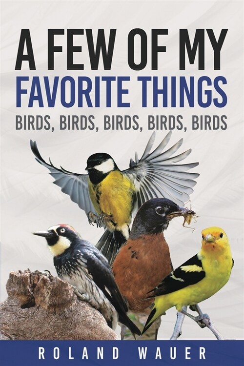 Favorite Things: Birds, Birds, Birds, Birds (Paperback)